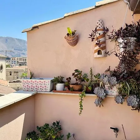 Apartman La Petite Terrasse *